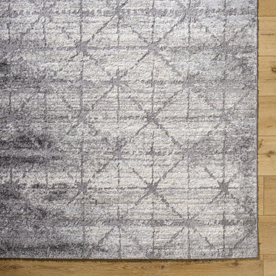 Tyree Distressed Gray Trellis Area Rug