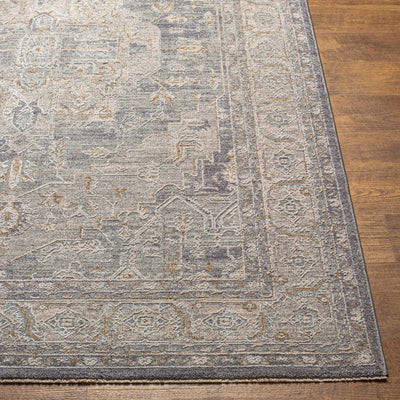 Ulubey Distressed Gray Area Rug