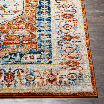 Uludere Area Rug - Clearance