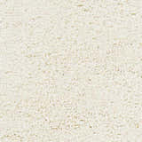Close-up of the cream Umpire Area Rug, a hand woven shag rug with a soft, textured pile. Swatch
