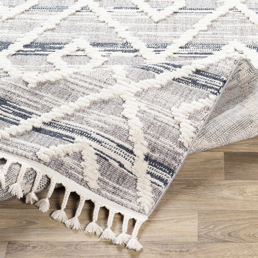 Upham High/Low Pile Rug with Tassels - Clearance