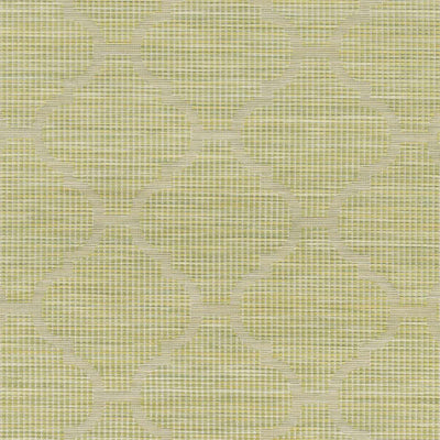 Unique Outdoor Trellis Area Rug, Olive Green - Clearance