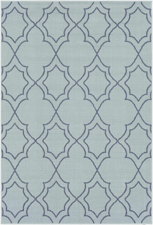 Unique Pale Blue Lattice Trellis Outdoor Rug - Clearance