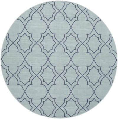 Unique Pale Blue Lattice Trellis Outdoor Rug - Clearance