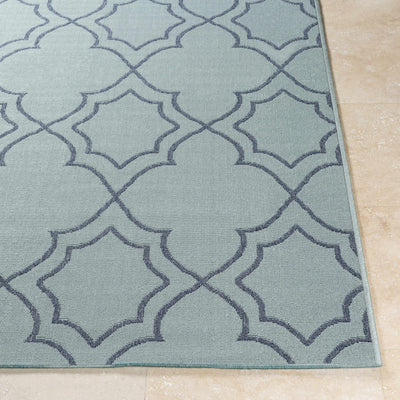 Unique Pale Blue Lattice Trellis Outdoor Rug - Clearance