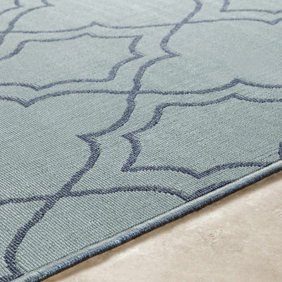 Unique Pale Blue Lattice Trellis Outdoor Rug - Clearance