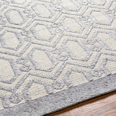 Vahe Area Rug