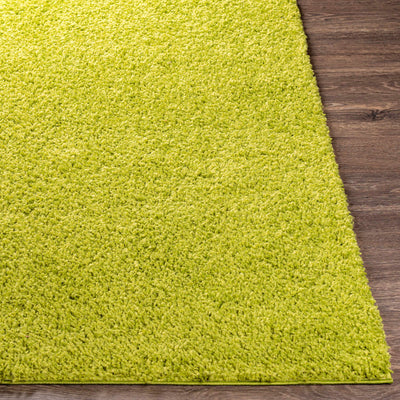 Light Green Rug