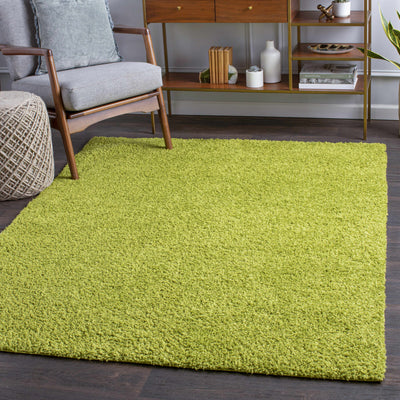 Light Green Rug