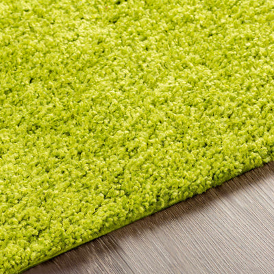 Light Green Rug