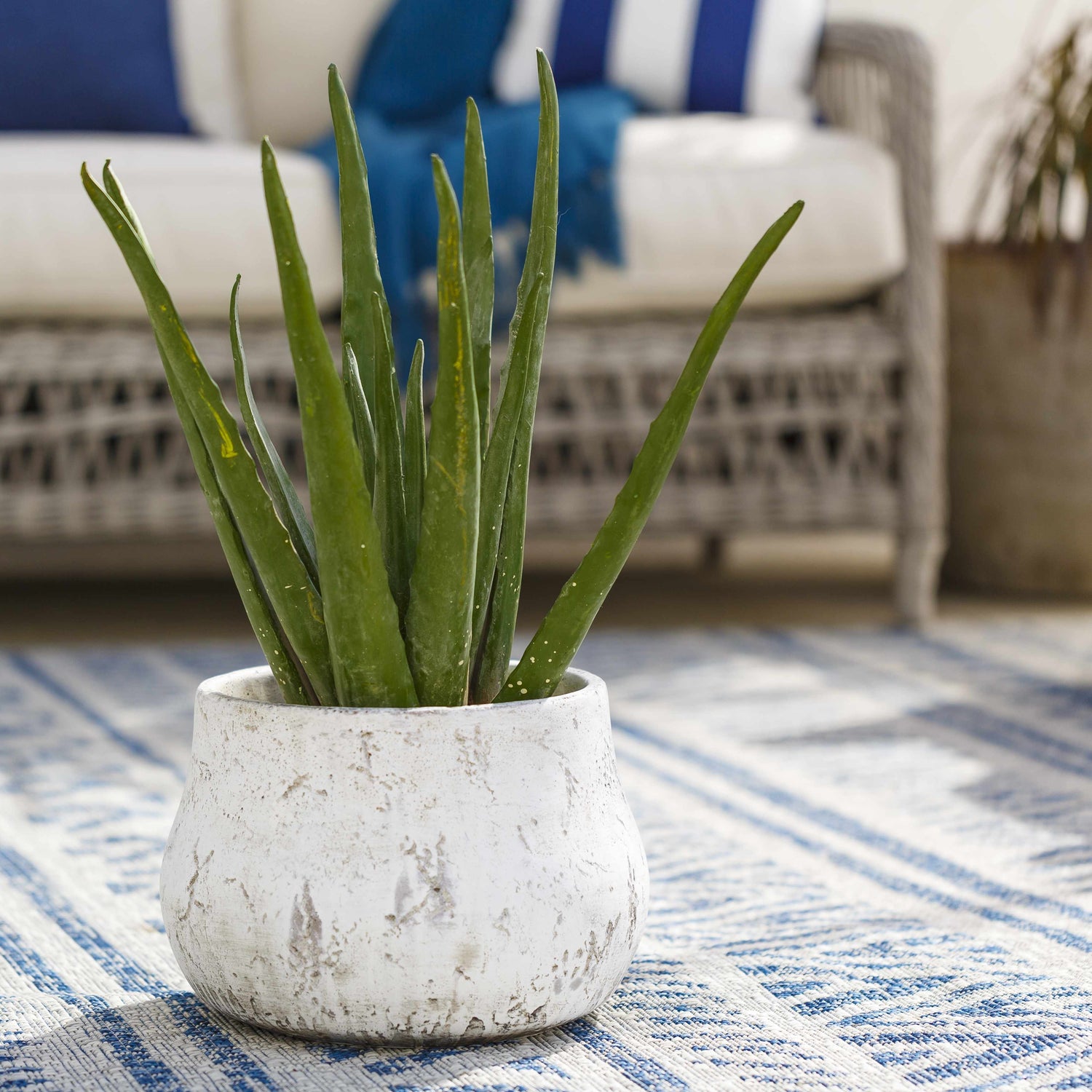 Orehovica 12" Cement Outdoor Planter