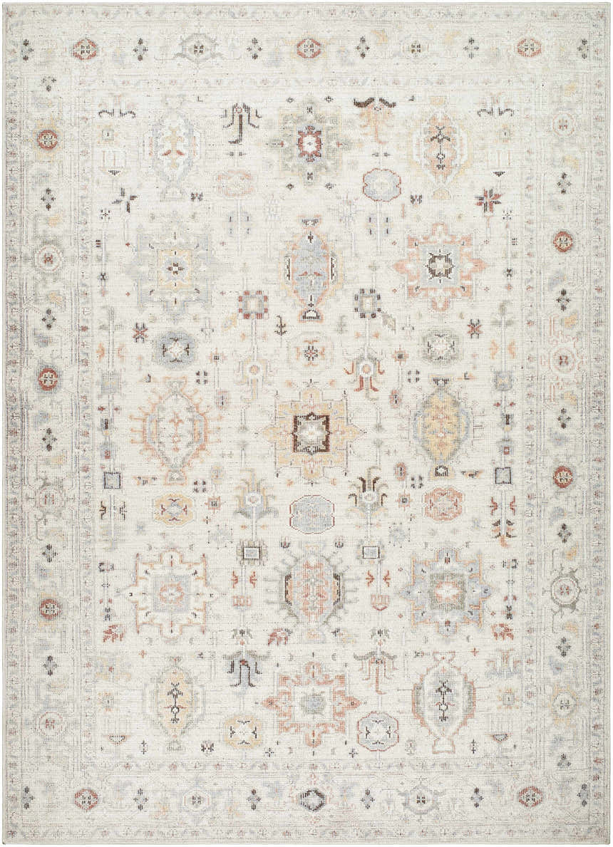 Close-up of the Vijay Area Rug. Light silver farmhouse style rug with traditional geometric patterns. Design-Rectangle