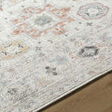 Close-up of the light silver Vijay Area Rug, a machine-woven rug with traditional patterns in peach, blue and brown. Texture
