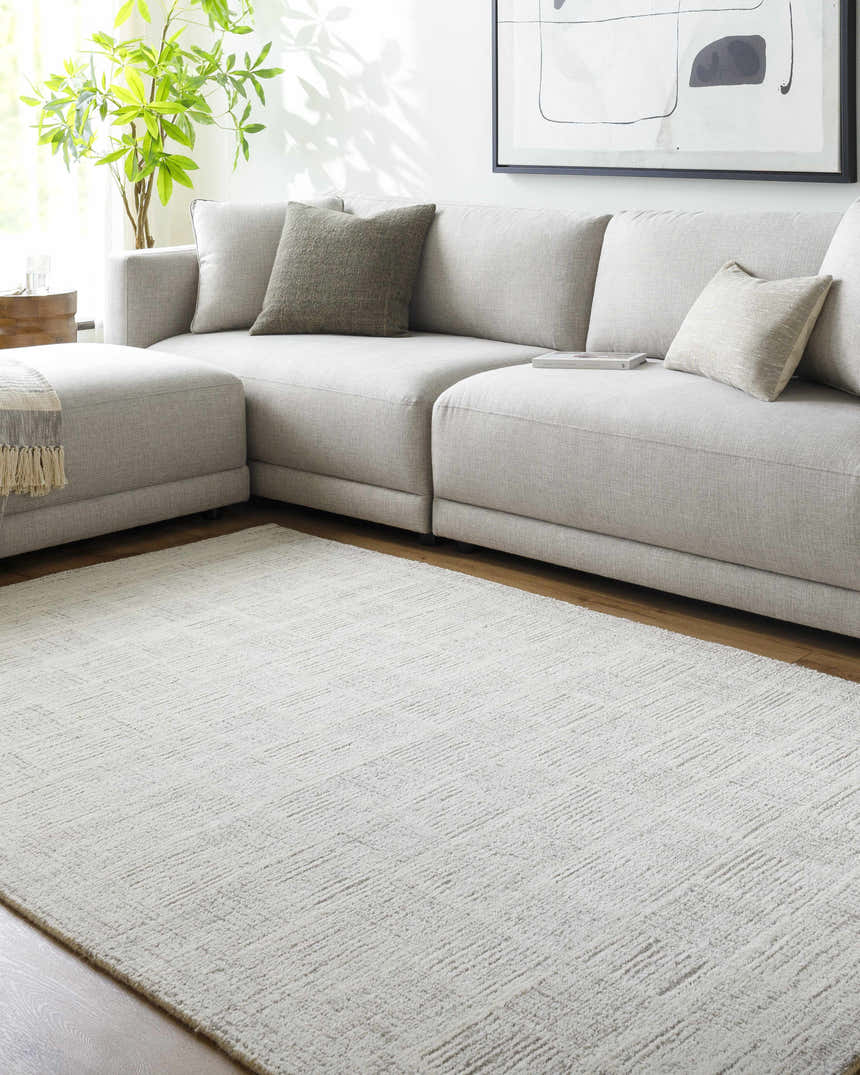 Living room scene with a light silver Urian Area Rug, gray sectional, and modern art. Roomscene-Rectangle