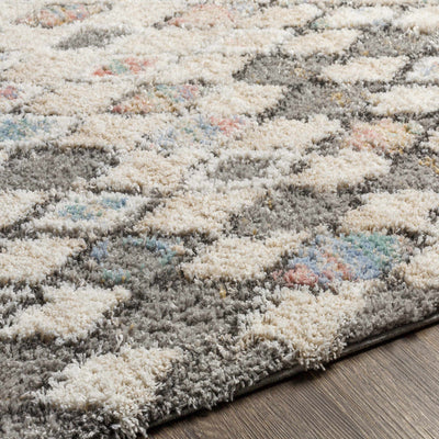 Villahermosa Area Carpet - Clearance