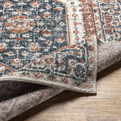 Overlea Traditional Area Rug - Clearance