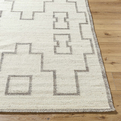 Vanig Area Rug