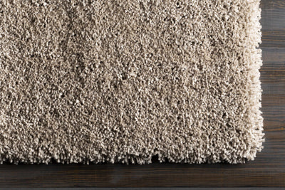 Tingly Solid Beige Shag Rug