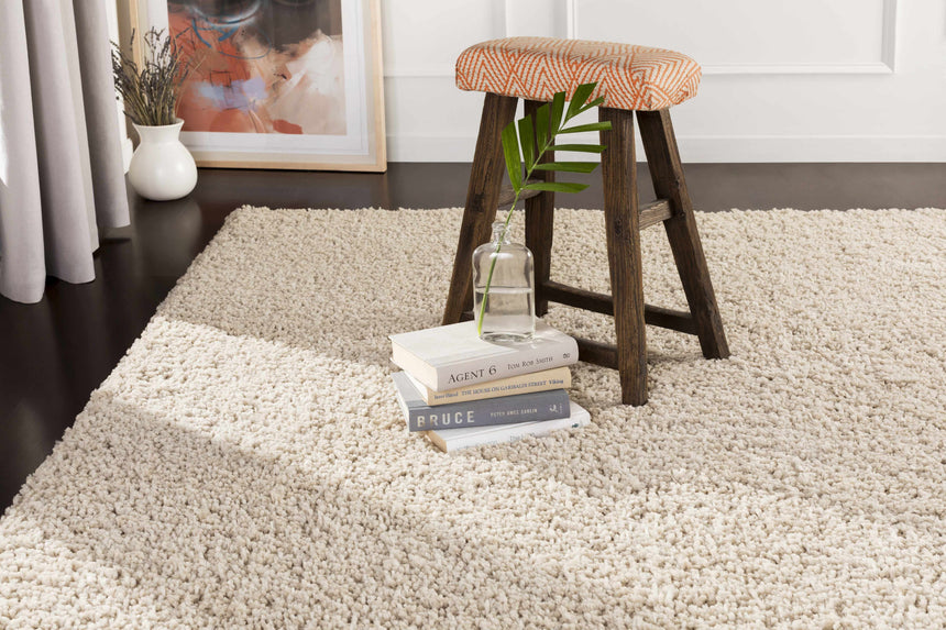 Wakeeney Beige Shag Rug - Promo