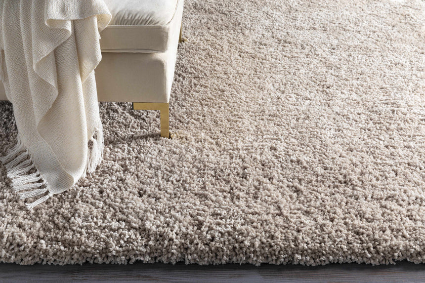 Wakeeney Beige Shag Rug - Promo