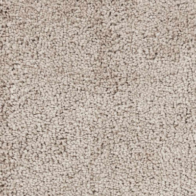 Tingly Solid Beige Shag Rug