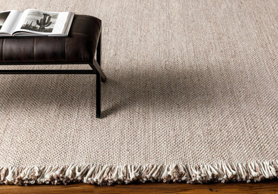 Waseca Flatweave Performance Rug