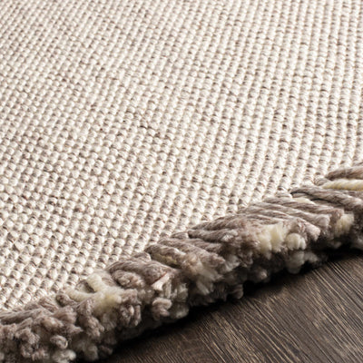 Waseca Flatweave Performance Rug