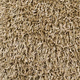 Close-up of the Browder Solid Beige Shag Area Rug, showing its plush texture and hand woven construction. Swatch
