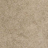 Close-up of the Browder Solid Beige Shag Area Rug, showing its dense, textured polyester pile. Contemporary style. Swatch