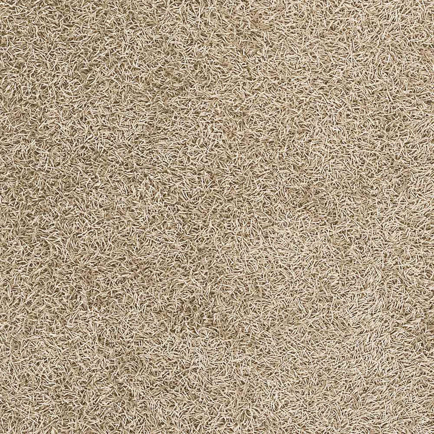 Close-up of the Browder Solid Beige Shag Area Rug, showing its dense, textured polyester pile. Contemporary style. Swatch