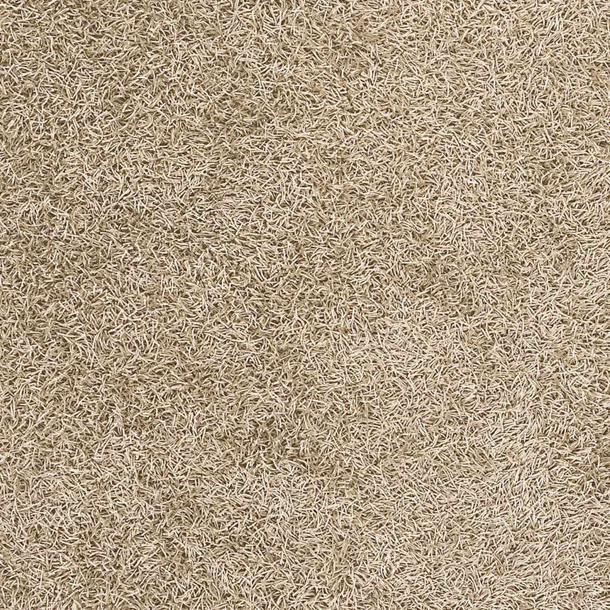 Browder Solid Beige Shag Area Rug - Clearance