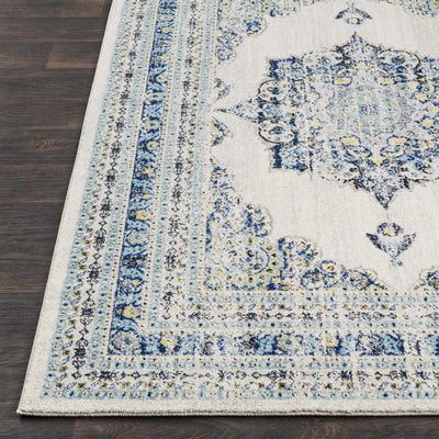 Williams Area Rug - Clearance