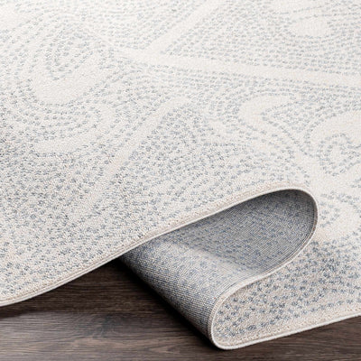 Birdwood Cream & Gray Area Rug - Clearance