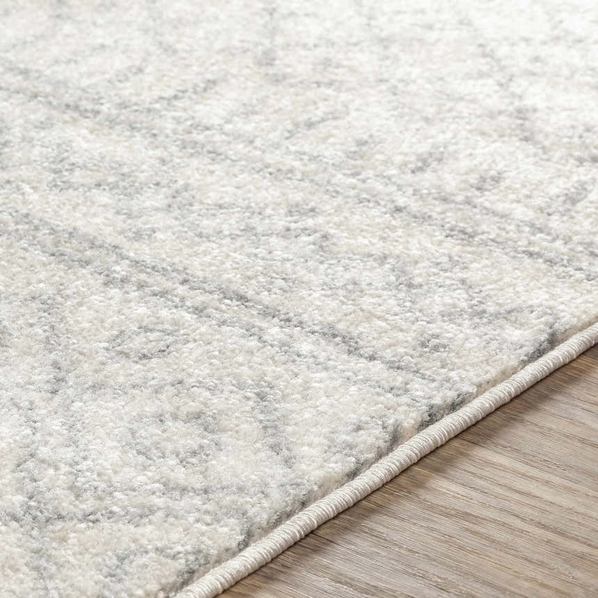 Close-up of the Winston Area Rug, a cream and gray rug with a subtle, textured pattern on light wood flooring. Texture