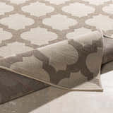 Close-up of Winterville Area Rug. Beige and dark red trellis pattern. Machine woven olefin rug texture. Fold