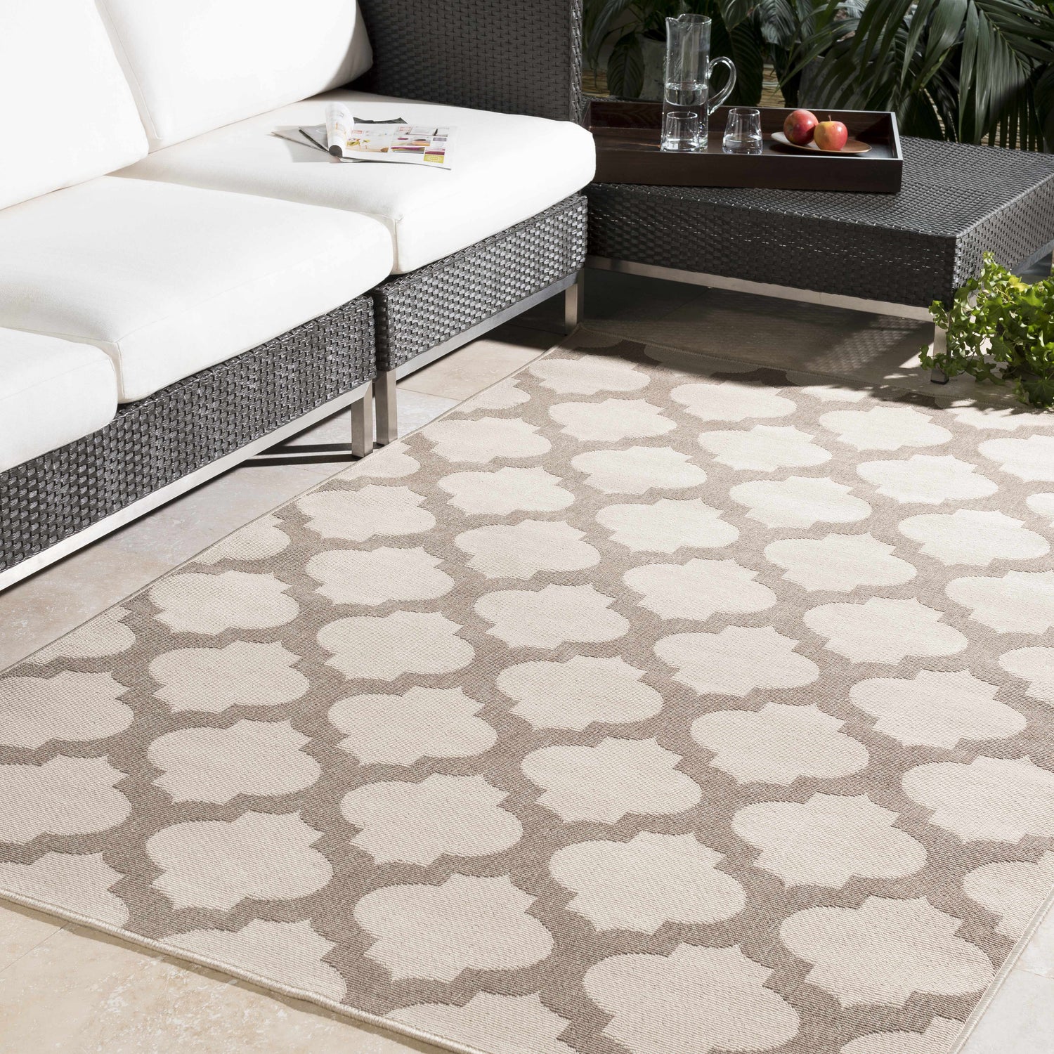 Winterville  Area Rug - Clearance