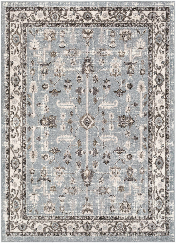 Wittmann Area Rug - Clearance