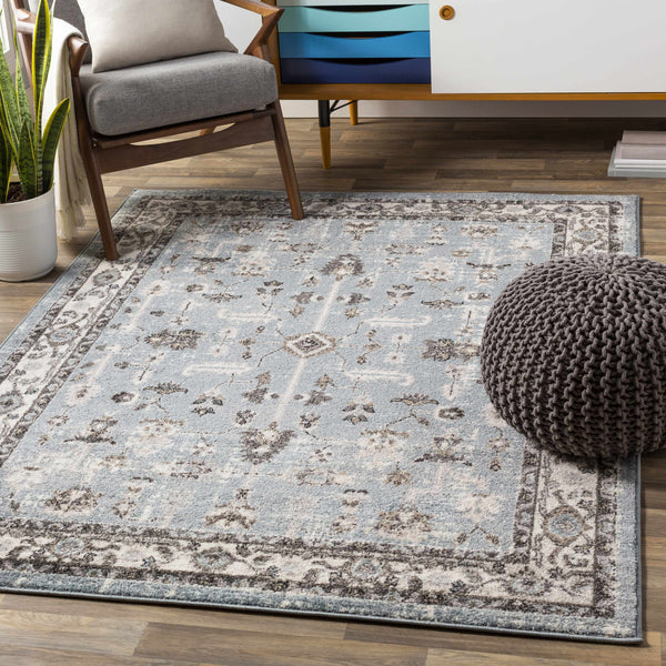 Wittmann Area Rug - Clearance