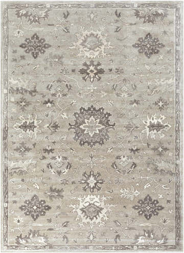 Detailed view of the beige Willimantic rug, a wool rug with traditional floral and botanical pattern in taupe, tan, and light beige. Design-Rectangle-811