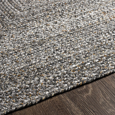 Williton Flatweave Performance Rug