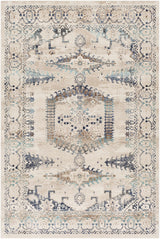 Wem Faded Neutral Area Rug - Clearance