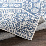 Windaroo Area Rug - Clearance