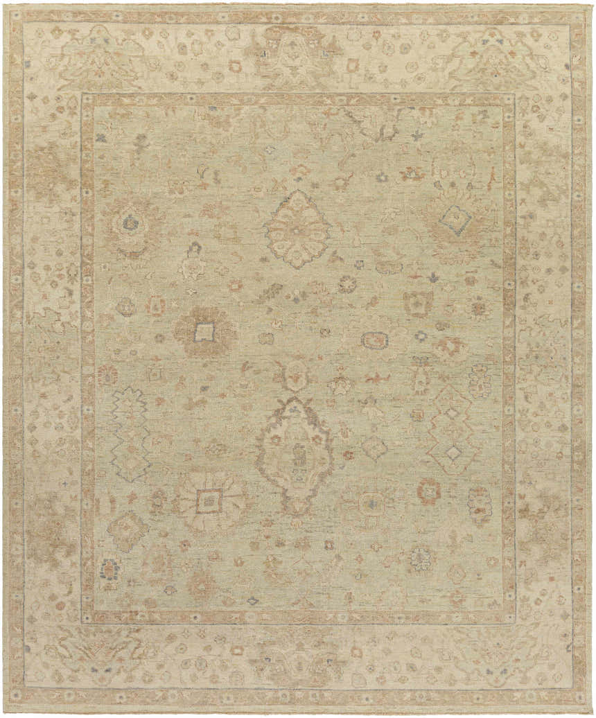 Hand knotted Wooroloo Area Rug in beige, tan, and olive. Traditional oriental rug with a rectangular shape and wool texture. Design-Rectangle-810