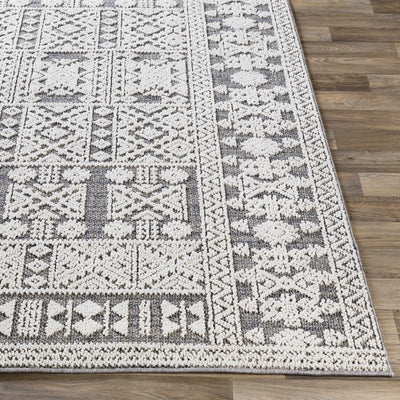 Ware Outdoor Rug