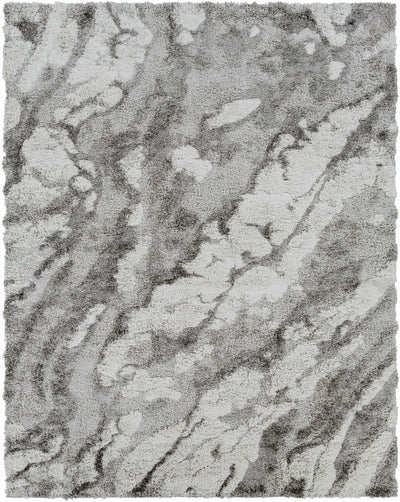 Washtucna Gray Shag Carpet