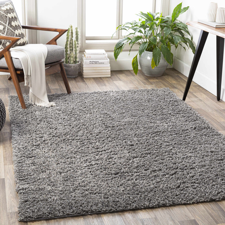 Wulagi Area Rug - Clearance