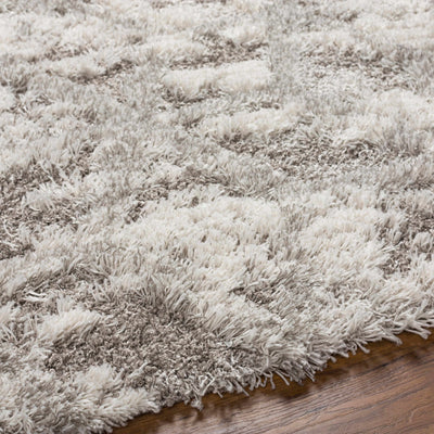 Wynant Gray Tones Plush Rug