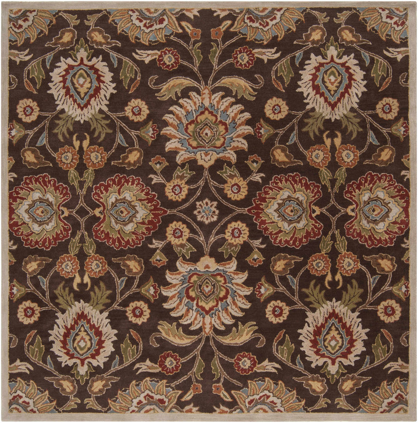 Conesus Hand Tufted Brown 1051 Area Rug