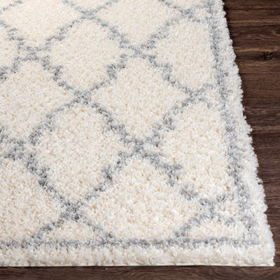 Yelverton Off-White Trellis Plush Rug - Clearance