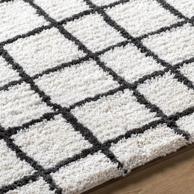 Yaotl Checkered Plush Carpet